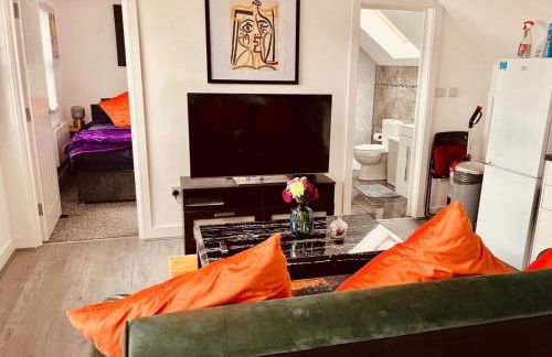 Birmingham Apt-sleeps 4-walk to City Centre-pets - Foto 69