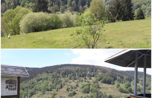 Ferienwohnung Schlossblick - Foto 25