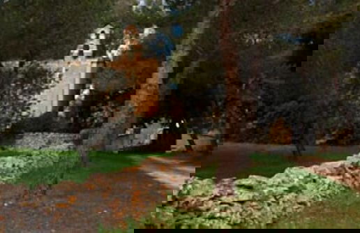 Tenuta Deserto - Foto 70