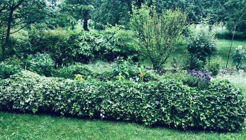 Ferienwohnung nähe Bodensee - Foto 5