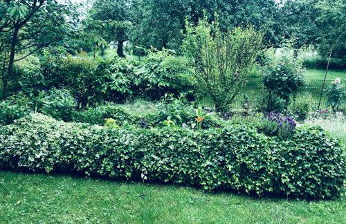 Ferienwohnung nähe Bodensee - Foto 5