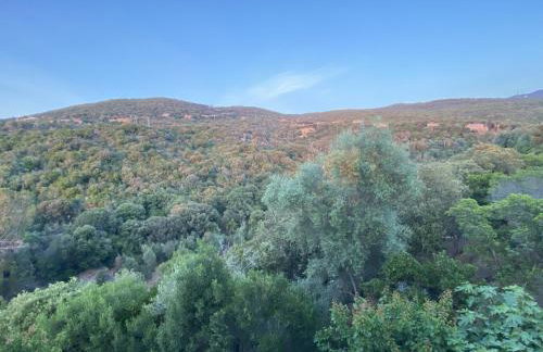Magnifique villa vue mer avec piscine - Photo 43