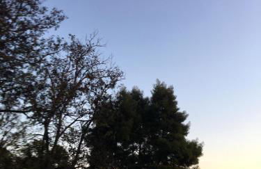 Santuário SOS Animal - Foto 10