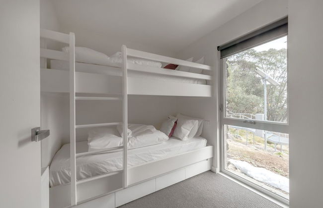 Elk at Falls - Photo 10