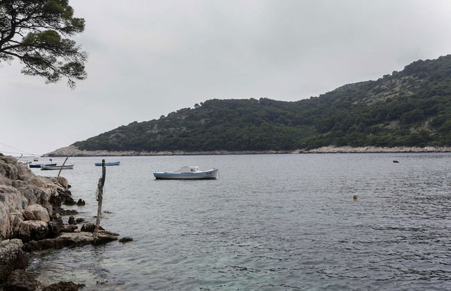 Apartments Posta - One-bedroom Apartment With Terrace and Sea View - Apartman 5 - Photo 15