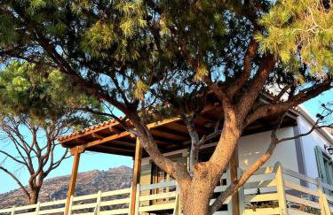 Mavrianou 180 sea view, ikarian villa - Foto 16