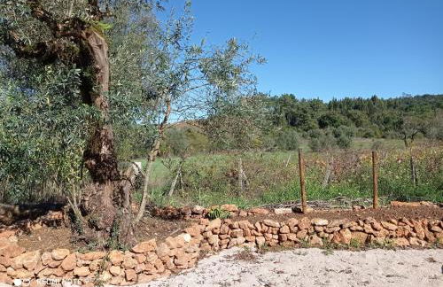 Casa da Professora - Foto 24