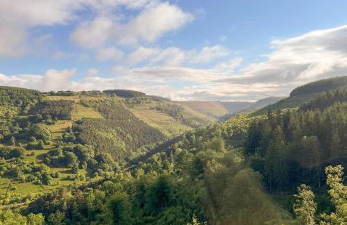 Cwmcarn Cottage - Foto 21