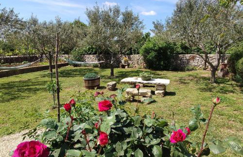 House Kuna - kuća za odmor i opuštanje -NP Krka - Photo 11