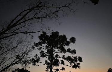 Loft in the Woods in São Roque! - Foto 4