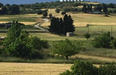 POSSIDI - Ithaki Holiday Apartments - Foto 25