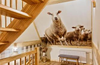 Apartamenty Kucovka 11 - Foto 44