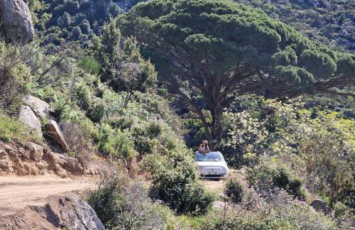 Casa nel Bosco, un oasi di pace - Foto 14