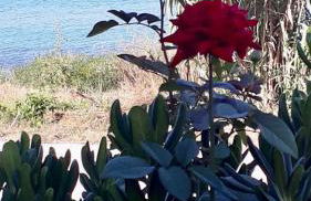 Covo dei Marinai - Foto 23