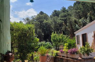 Trocito de Paraíso en la Sierra Espadán - Foto 8