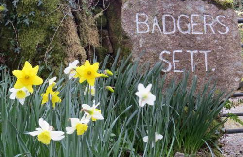 Holiday Home Idyllisches Landhaus Rosemary by Interhome - Photo 24