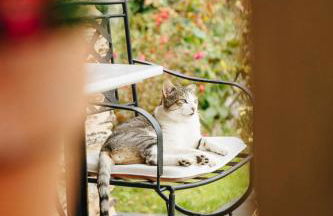 Lugar del Rio - Foto 6