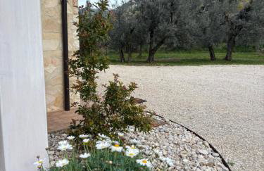 Il Casaletto - Guest House - Foto 64