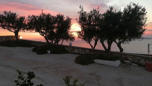 Sarris Planet - Foto 4