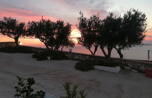 Sarris Planet - Photo 4