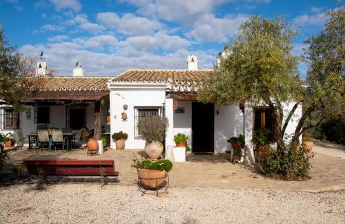 Casa de Campo La Mejorana Refugio entre olivos sin renunciar al confort - Foto 7