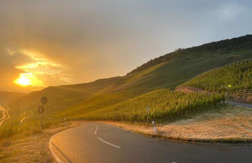 Apartment an der Mosel 2 - Foto 52