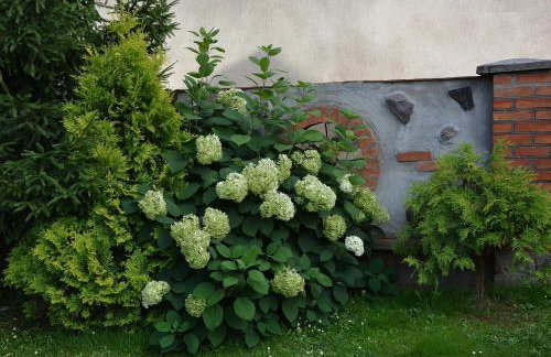 Agro Przy Kominku - Foto 14