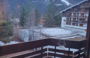 Residence "l'adret " l'alpe d'auron - Foto 10