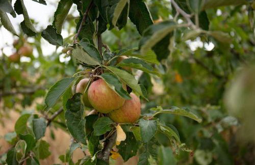 The Old Workhouse Paddocks - Foto 27