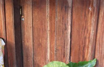 Chacara Refugio das Babaçus - Foto 31