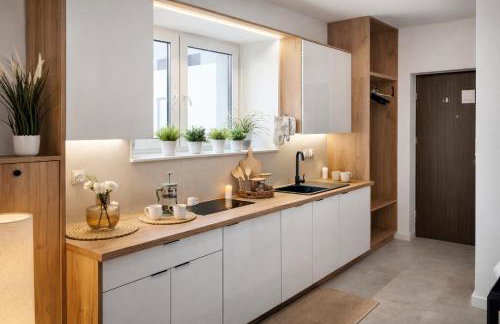 Willa Sowia nowe apartamenty z zachwycającym widokiem na góry i potok - Foto 7