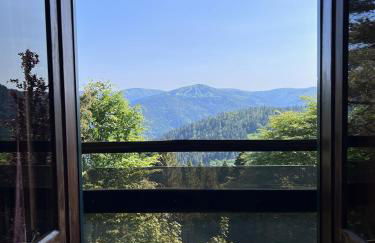 Chalet vue panoramique, Gaschney, Vosges, Colmar - Foto 11