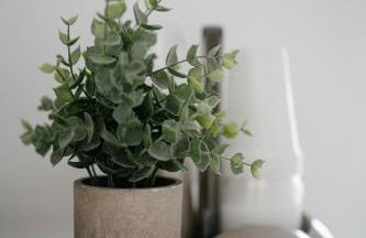 Casa Cleo al Mare con Free WiFi Netflix AC - Foto 37