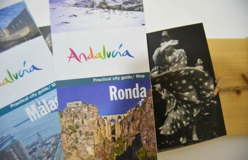 Apt Historic Center Málaga free Parking - Foto 40