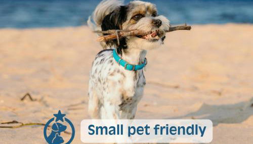 Appartamenti Venus - Foto 3