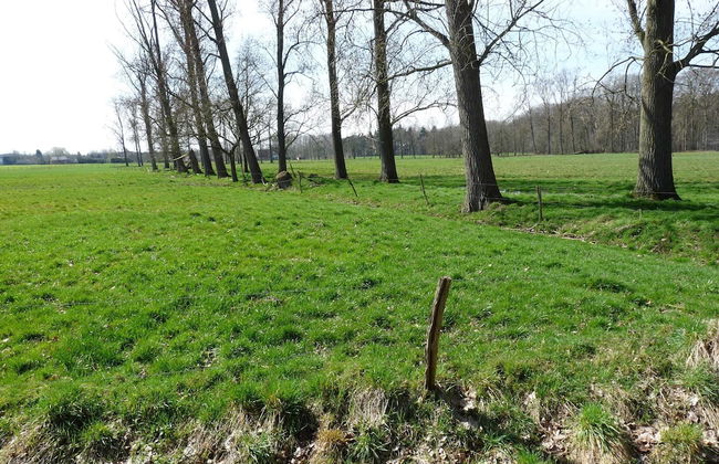 Cozy Holiday Home in Aalter near Lake - Photo 37