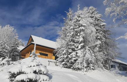 Domki Krynica - Foto 56