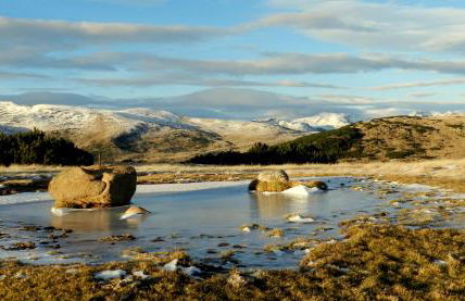 Laerchhof - Photo 51