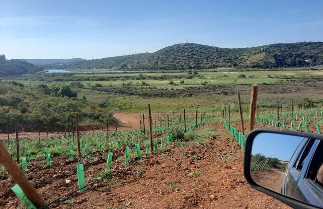 Balade en 4x4 à Portimão, Ferragudo et Silves - Photo 6