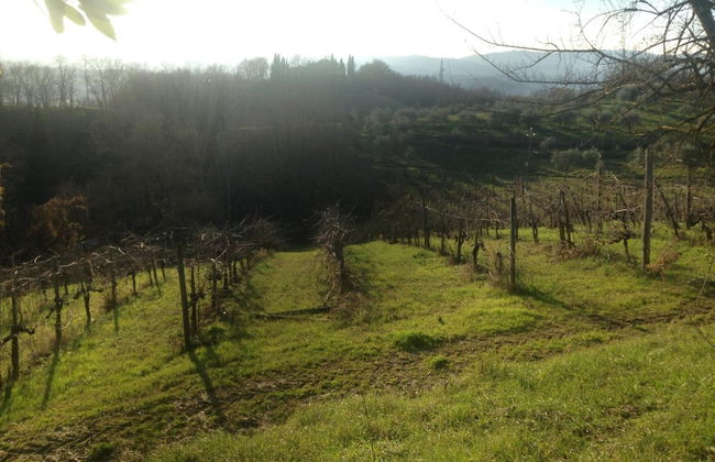 Podere San Lorenzo - Foto 50