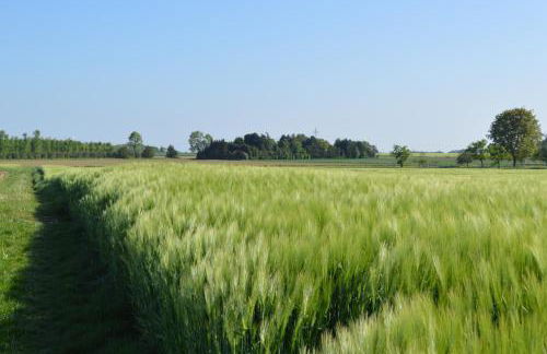 Nettes Appartement - Foto 25