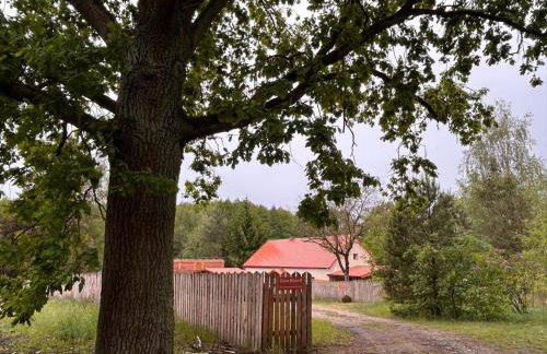 Dom Nad Jeziorem Trzy Tonie - Foto 43