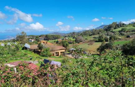 Nature Sanctuary, a semi-detached house on an ecological & sustainable farm - Foto 22
