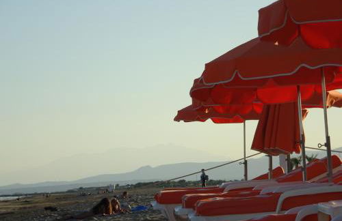 Domaine du Petit Tournebelle - Foto 71