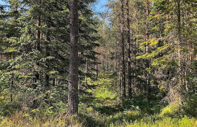 6 Person Holiday Home in Dalskog - Foto 16