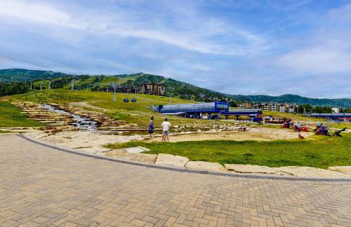 Torian Plum - Foto 12