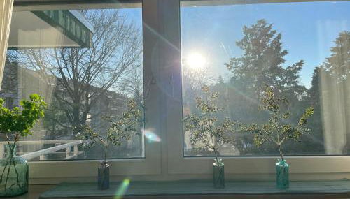 Ideale Unterkunft in Düsseldorf-Nord - Foto 5