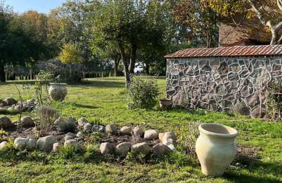 Ferienhof Schmetterlingsgarten - Foto 18