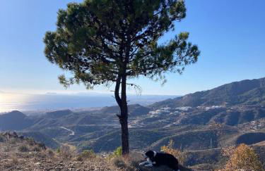 El Mirador by BH Marbella - Photo 33