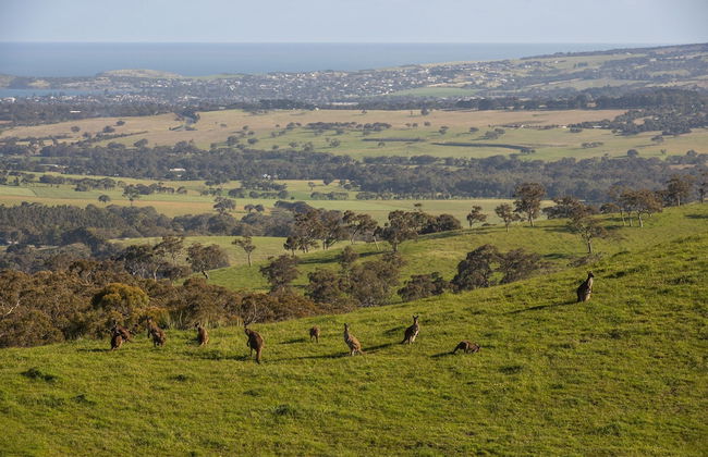 Old Coach Road Estate - Foto 17